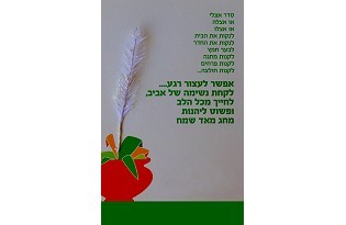 כרטיס ברכה לפסח - נשימה של אביב