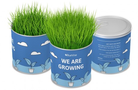 פחית ראש דשא - We Are Growing BlueVine