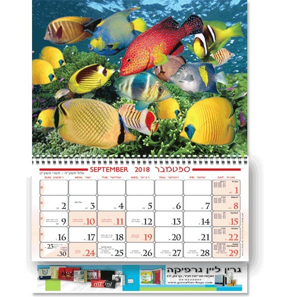 לוח שנה פלקט - דגים 3D